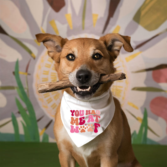 Dog Bandana Adjustable Collar: You Had Me at Woof Paw Print Design