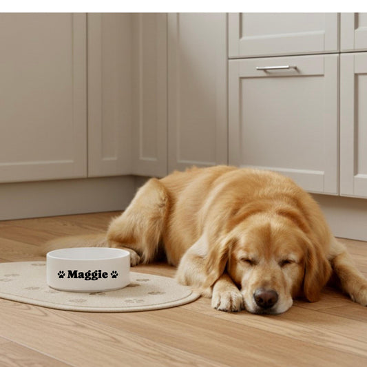 Personalized Name pet bowl | Your Dog's Name 16oz bowl with paw prints