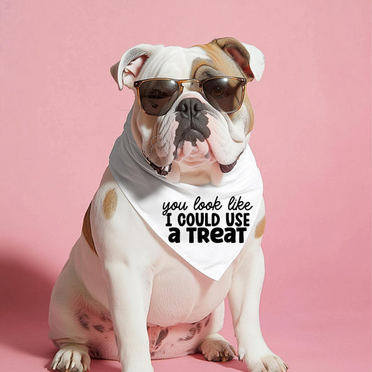 You Look Like I Could Use a Treat Pet Bandana Collar | Funny Dog Bandana