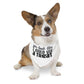 You Look Like I Could Use a Treat Pet Bandana Collar | Funny Dog Bandana