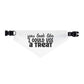 You Look Like I Could Use a Treat Pet Bandana Collar | Funny Dog Bandana