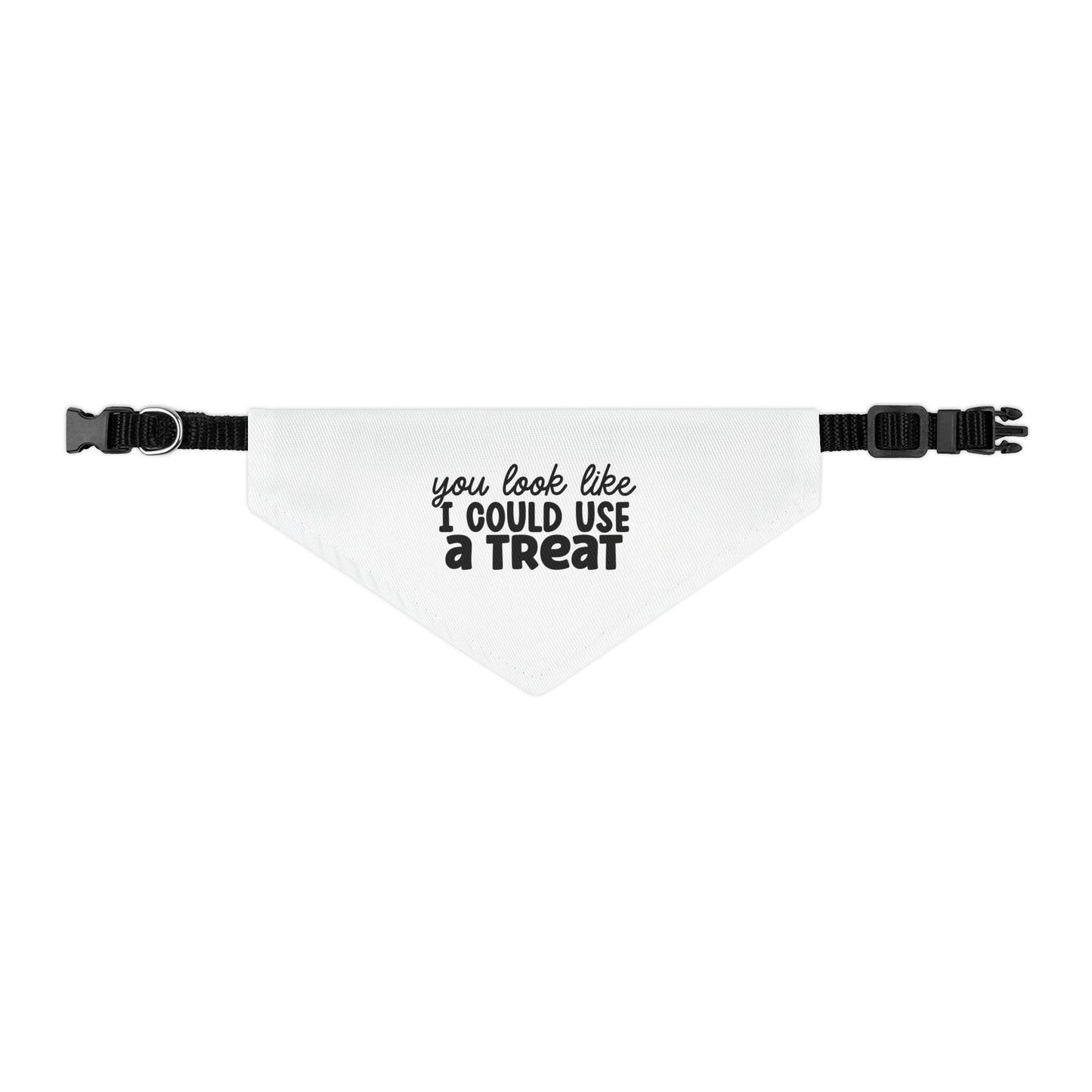 You Look Like I Could Use a Treat Pet Bandana Collar | Funny Dog Bandana