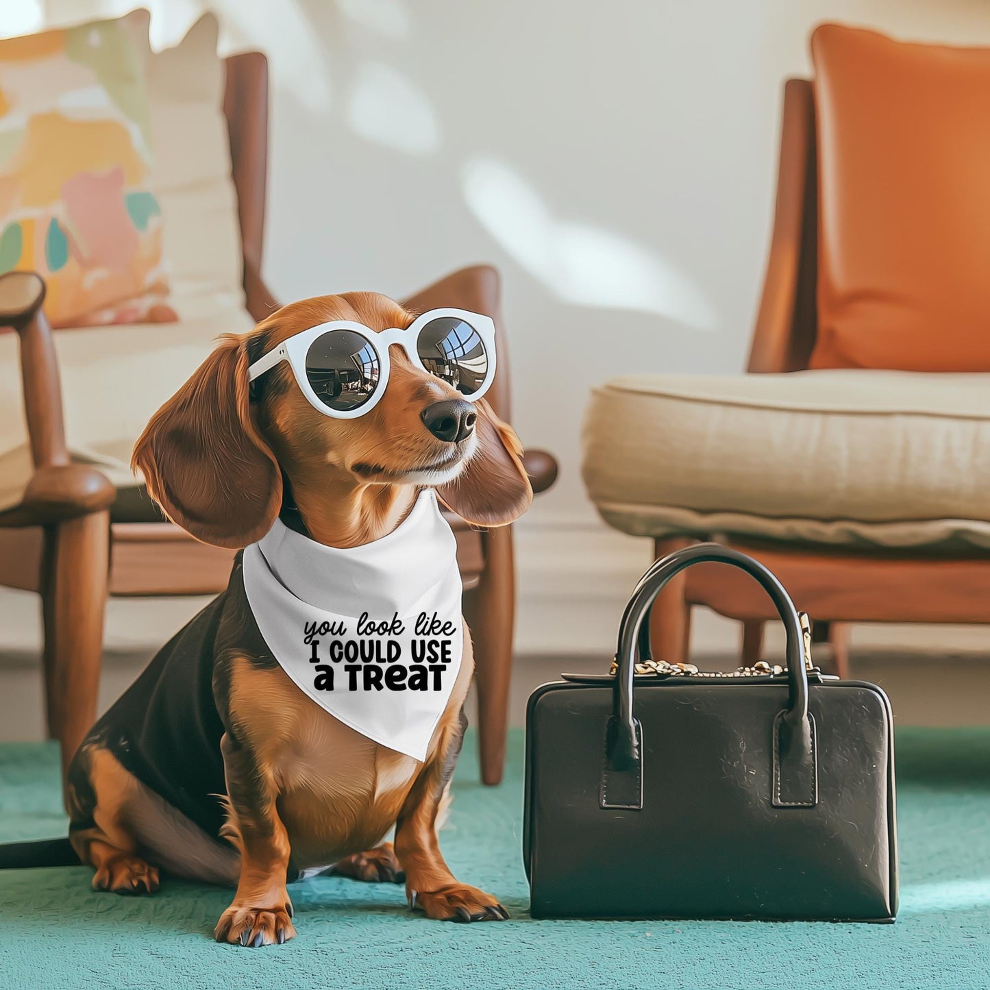 You Look Like I Could Use a Treat Pet Bandana Collar | Funny Dog Bandana