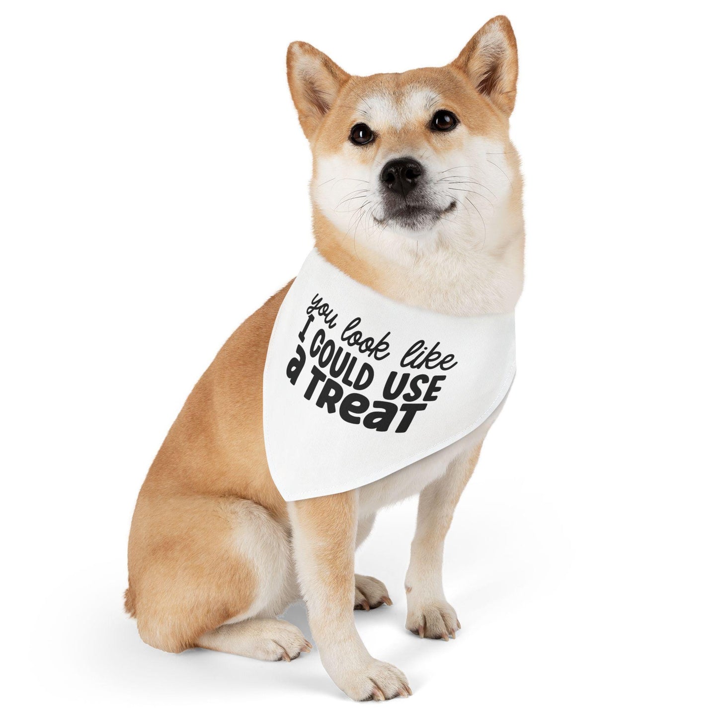 You Look Like I Could Use a Treat Pet Bandana Collar | Funny Dog Bandana