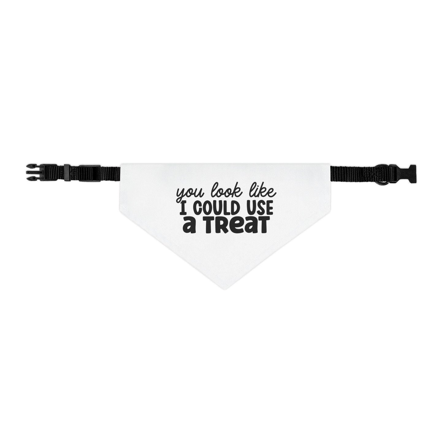 You Look Like I Could Use a Treat Pet Bandana Collar | Funny Dog Bandana